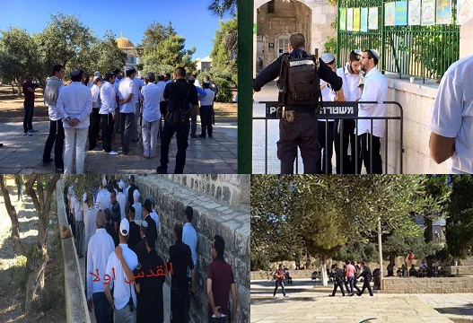 عشرات المستوطنين يقتحمون باحات الأقصى والاحتلال يعتقل 6 مقدسيين