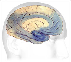 لقاح جديد للوقاية من الزهايمر