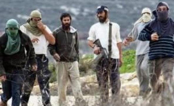 مستوطنون يعتدون على فتى شمال نابلس
