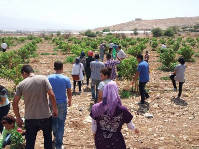 فعاليات زراعية في الأغوار إحياء لذكرى النكبة