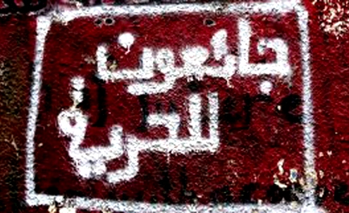 4 أسرى مضربون في 