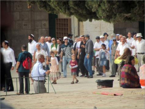 محدث.. مجموعة استيطانية تقتحم باحات المسجد الأقصى