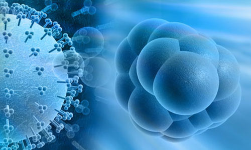 علماء ينجحون في زراعة خلايا جذعية لعلاج العمي الجزئي