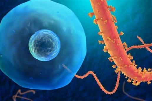 المتاجرة بدم الذين شفوا من 