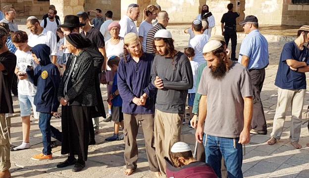 محدث| عشرات المستوطنين يقتحمون باحات المسجد الأقصى