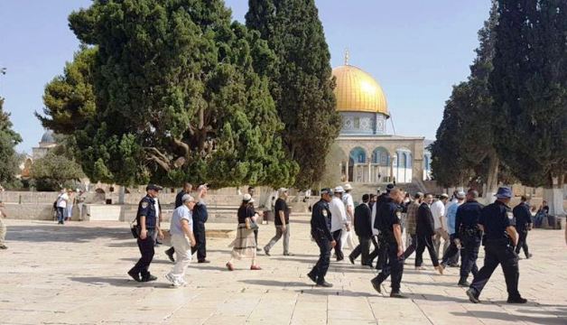 مستوطنون يقتحومن باحات المسجد الأقصى بحراسة مشددة من قوات الاحتلال