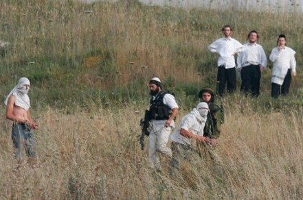 مستوطنون يعتدون على المزارعين في بيت أمر