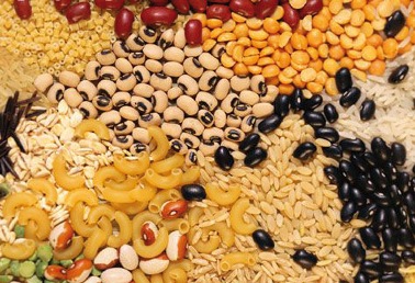 مناعة جسم الإنسان في البروتينات النباتية