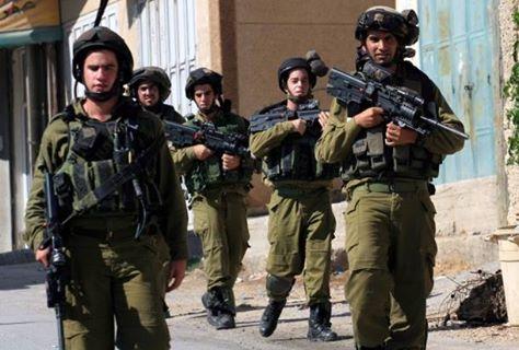 قوات الاحتلال تحتجز 3 مواطنين أثناء رعيهم للماشية غرب جنين