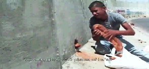 بإحداث ثغرة في الجدار.. شبان فلسطينيون يهربون الكعك المقدسي إلى الضفة