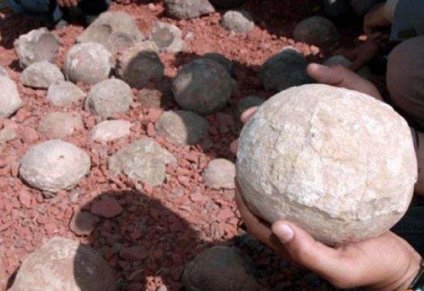 العثور على 43 بيضة ديناصورات متحجرة جنوب الصين