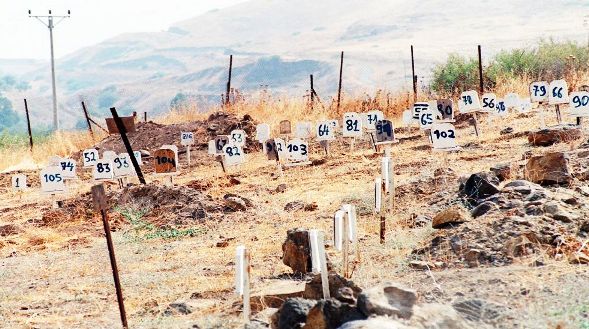 الاحتلال يعترف بوجود أكثر من 120 جثمان شهيد فلسطيني لديه