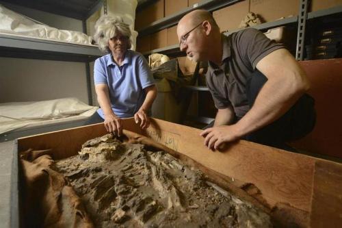 اكتشاف هيكل عظمي بشري عمره 6500 سنة