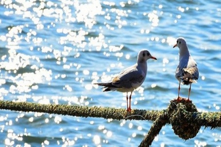 الطقس...درجات الحرارة أعلى من معدلها