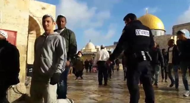 230 مستوطناً يقتحمون باحات الأقصى المبارك