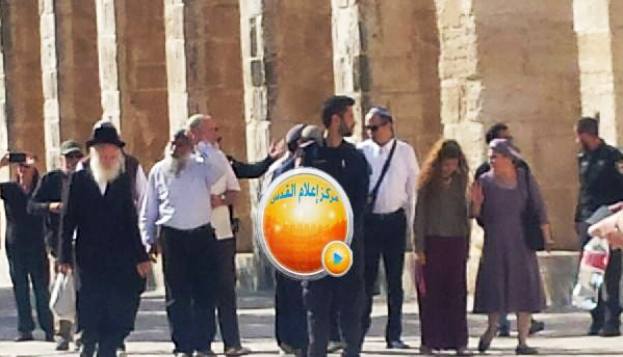 62 مستوطنا يقتحمون المسجد الأقصى بحماية قوات الاحتلال
