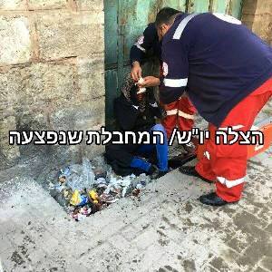 إصابة فلسطينية برصاص الاحتلال في شارع الشهداء بالخليل
