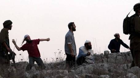 نابلس.. مستوطنون يعتدون على مزارع ويقطعون أشجار الزيتون