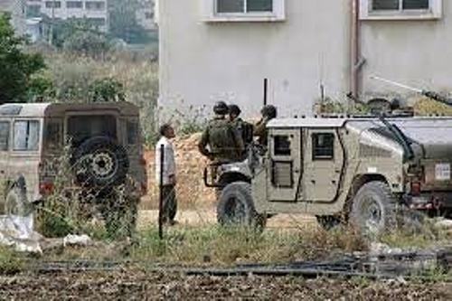 عملية دهم وتفتيش في بلدة شوفة جنوب طولكرم