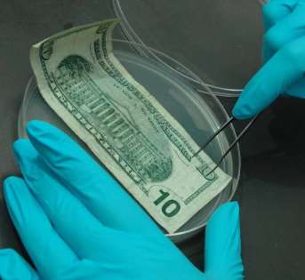 العملات الورقية الأكثر تلوثاً بالبكتيريا