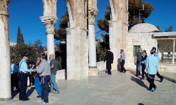 مستوطنون يقتحمون الأقصى ويدنسون صحن قبة الصخرة