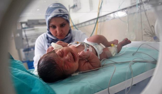 غزة... 6 مواليد كل ساعة في الشهر الماضي