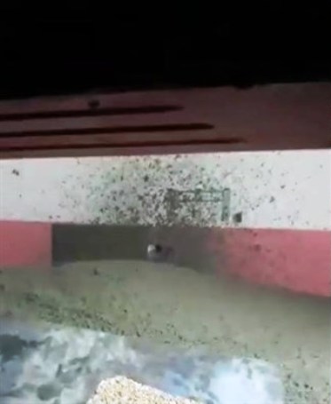 جنين... الاحتلال يغلق منزل الأسير يوسف أبو زينة بالاسمنت