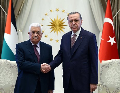 أردوغان: ندعم جهود حل الدولتين