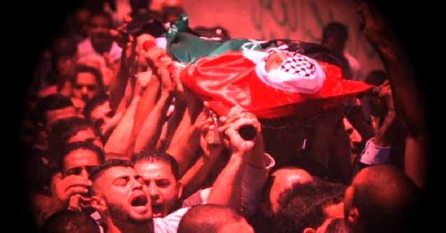 تقرير.. 14 شهيداً و4.549 جريحاً واعتقال 214 فلسطينياً