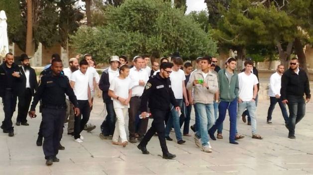 83 مستوطناً يقتحمون المسجد الأقصى المبارك