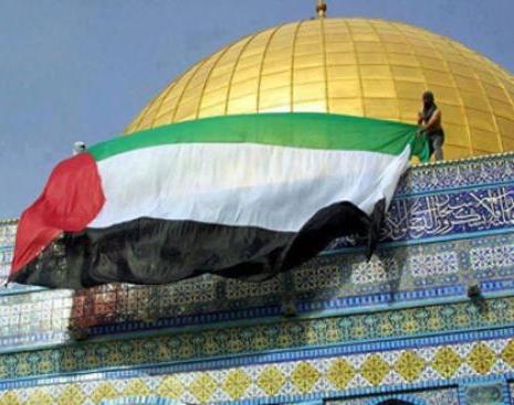 الأجندة المحلية في نشرة صباح  فلسطين