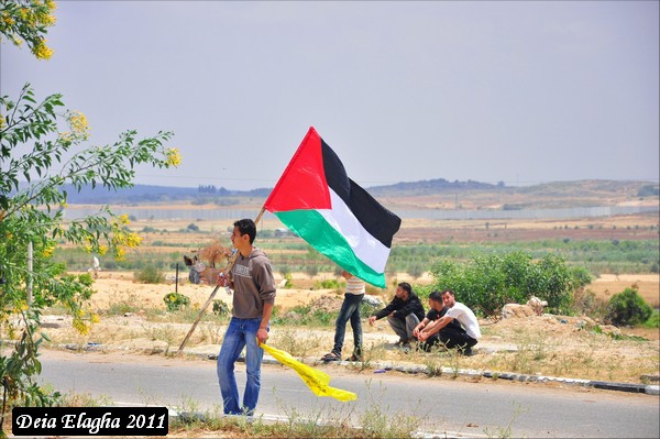 الأجندة المحلية في نشرة صباح  فلسطين