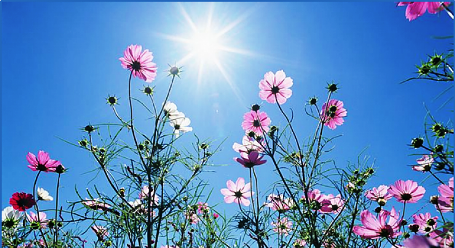 الطقس: انخفاض طفيف على درجات الحرارة