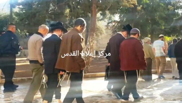 91 مستوطنا يقتحمون المسجد الأقصى المبارك