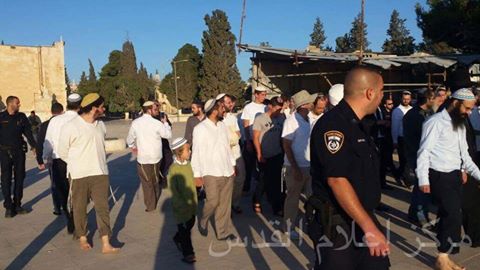 محدث.. مئات المستوطنين يقتحمون باحات الأقصى