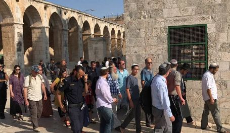 القدس.. 96 مستوطنًا اقتحموا باحات الأقصى
