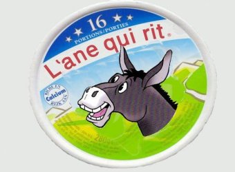 أغلى أجبان العالم تنتج من حليب الحمير