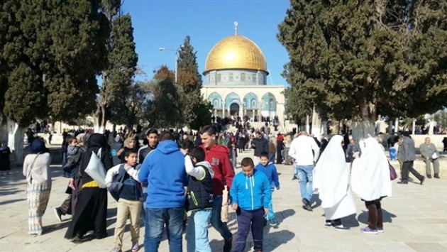 بذكرى المولد النبوي... دعوة لشد الرحال إلى الأقصى