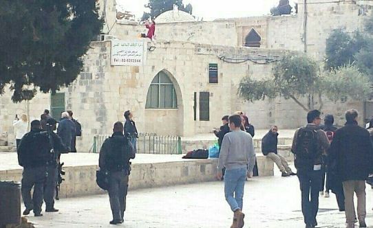 59 مستوطنا يقتحمون باحات المسجد الأقصى