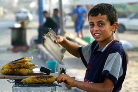 تضاعف مؤشر عمالة الأطفال في غزة