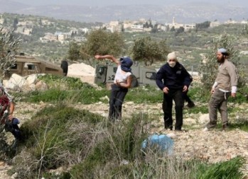 مستوطنون بحماية الاحتلال يعتدون على شاب في الخليل