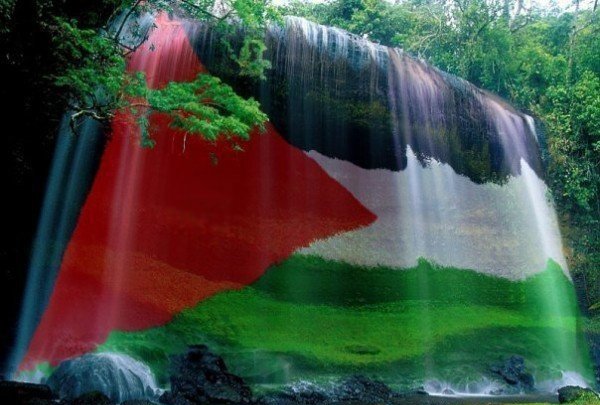 الأجندة المحلية في نشرة صباح  فلسطين