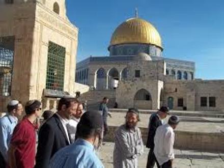 المستوطنون يواصلون اقتحام الأقصى المبارك