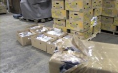 شرطة البرتغال تصادر كميات من المخدرات في شحنات موز 