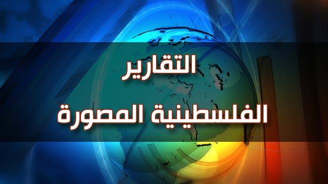 فلسطيني