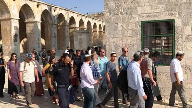 استمرار انتهاكات واقتحامات المستوطنين للمسجد الأقصى في ذكرى إحراقه