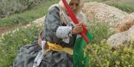 الاحتلال يستغل 85% من مساحة فلسطين المحتلة
