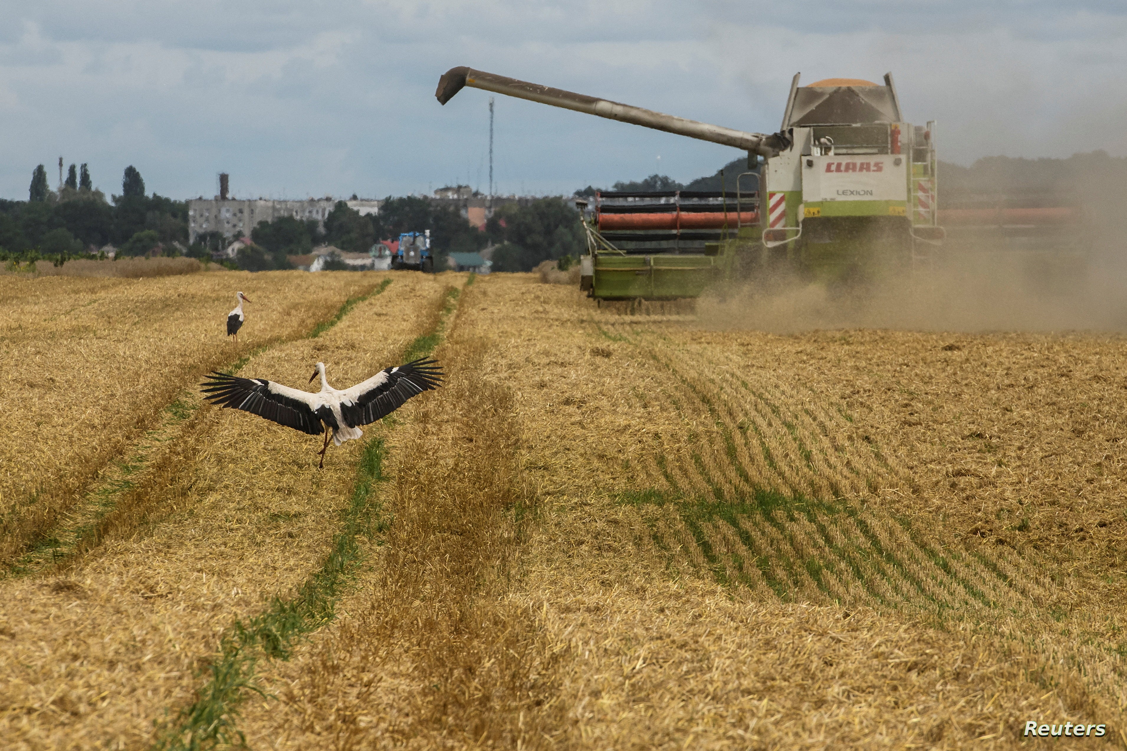 2022-08-09T204928Z_35932317_RC2YSV9FPI67_RTRMADP_3_UKRAINE-CRISIS-GRAIN.jpeg