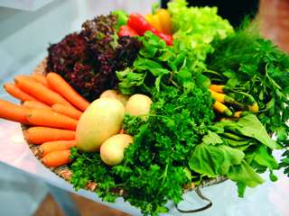 عدم تناول الغذاء النباتي بشكله الصحيح يضر أكثر ما ينفع