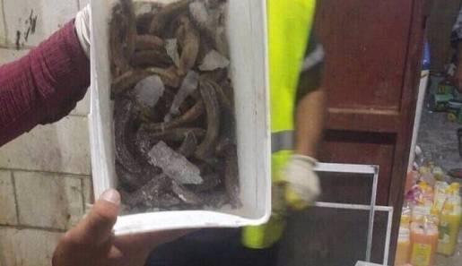 ضبط وإتلاف مواد فاسدة في رام الله